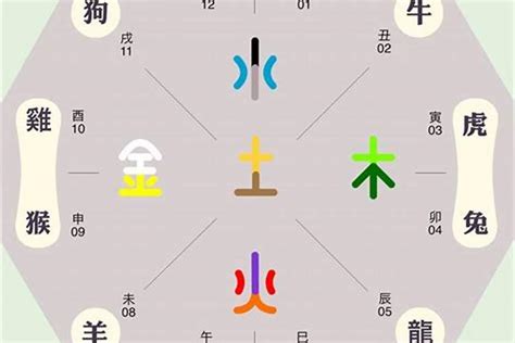 宗 五行|宗字的五行属性